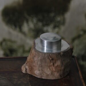 Free-Form Wood-Clad Pewter Caddy